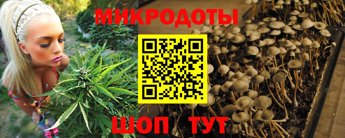 Барабинск  Псилоцибиновые грибы Magic Shrooms  Псилоцибиновые грибы Cubensis  Вход с VPN 